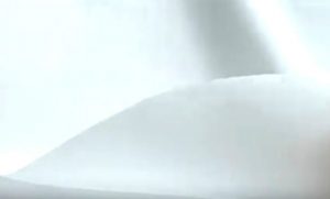 格式の高さを演出